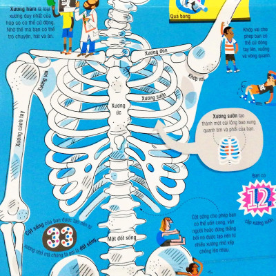Sách Tương Tác - Big Book - Cuốn Sách Khổng Lồ Về Cơ Thể Người (Tái Bản)