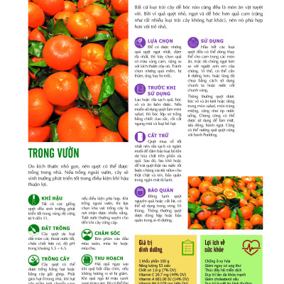 Bách Khoa Về Trái Cây Và Rau Củ (Bìa cứng - In màu)