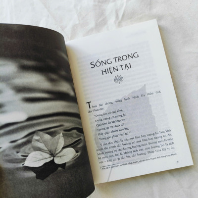Bát Chánh Đạo (Bìa Mềm) + Chia Sẻ Từ Trái Tim (50 bài giảng về Phật pháp của thầy Thích Pháp Hòa) (2 quyển)