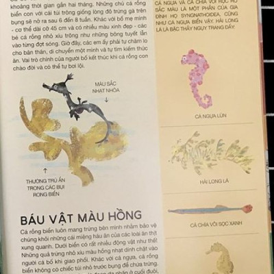 Tất Tần Tật Về Trứng (HH)