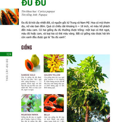 Bách Khoa Về Trái Cây Và Rau Củ (Bìa cứng - In màu)