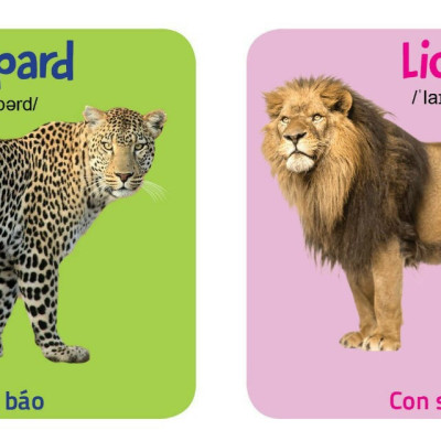 Từ điển hình ảnh đầu tiên cho bé khám phá thế giới (10 cuốn) - My first picture book 