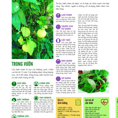 Bách Khoa Về Trái Cây Và Rau Củ (Bìa cứng - In màu)