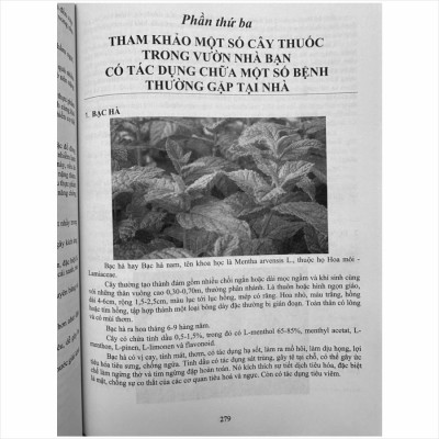 Sách Tuyển Chọn Các Bài thuốc Nam Chữa Triị Bệnh Theo Mùa, Các Bệnh Hậu COVID - V2494D