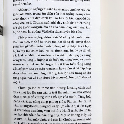 Sách - Tập Ngó Lơ (Nhã Nam) Đường đến tâm an (Natori Hogen) - NXB Dân Trí - 348 trang