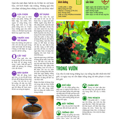 Bách Khoa Về Trái Cây Và Rau Củ (Bìa cứng - In màu)