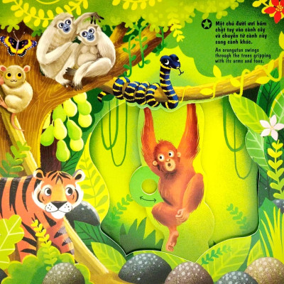 Sách Tương Tác - Sách Chuyển Động - First Explorers - In The Jungle - Trong Khu Rừng