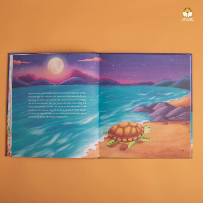 Chuyện Mẹ Rùa - Chào hè với câu chuyện về hành trình sinh nở của Rùa Biển