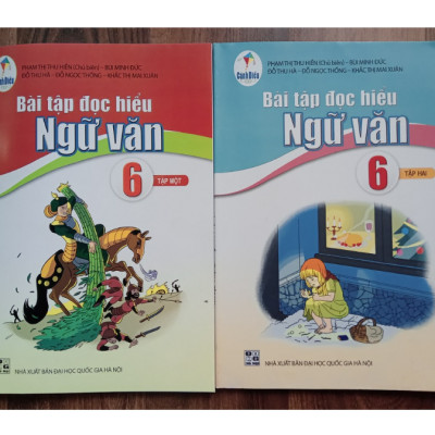Sách - Bài tập đọc hiểu ngữ văn 6 - tập 1 ( Cánh Diều )