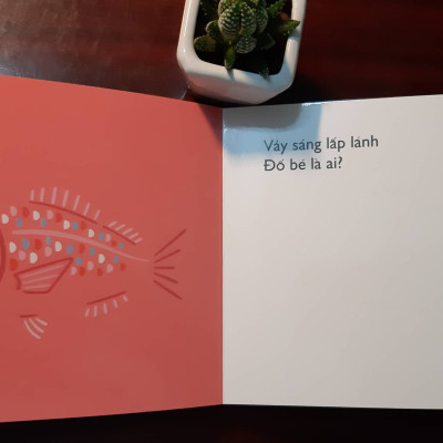 Combo 4 cuốn Ehon Nhật Bản Cùng chơi trốn tìm 8 Sinh vật biển, Cùng chơi trốn tìm 9 Các loài chim, Cùng chơi trốn tìm 10 Côn trùng, Cùng chơi trốn tìm 11 Giáng sinh