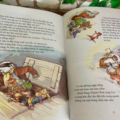 Gió vờn trong liễu - Bìa cứng (NXB Kim Đồng)