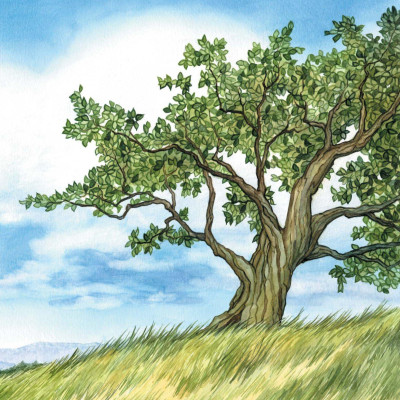 Những Cuộc Phiêu Lưu Kì Thú - Chuyến Bay Li Kì