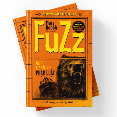 Fuzz: Khi tự nhiên phạm luật