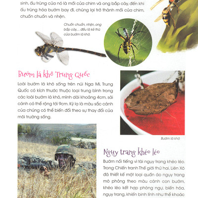 Thiên Nhiên- Những Bí Mật Còn Ẩn Giấu - Động Vật Quý Hiếm (Tái Bản 2019)- 2HBooks