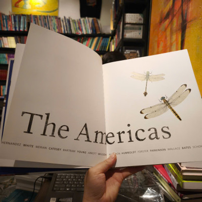 Sách - Art of Nature: Three Centuries of Natural History Art from Around the World by Judith Magee