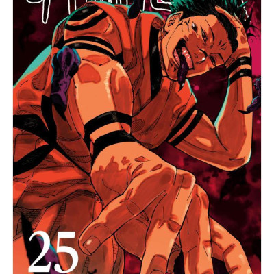 Jujutsu Kaisen 25 (Japanese Edition)