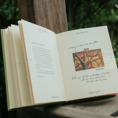 (Bìa cứng) BONG BÓNG ƠI, BAY LÊN! – Hiền Thục - Phục Hưng