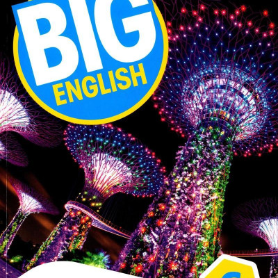 Big English Ame 2nd Edition Workbook With Audio CDs Level 6