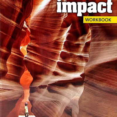 Impact Foundation: Workbook