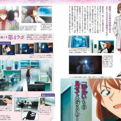 Detective Conan: Secret Archives Ai Haibara (Japanese Edition)