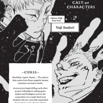 Jujutsu Kaisen 19 (English Edition)