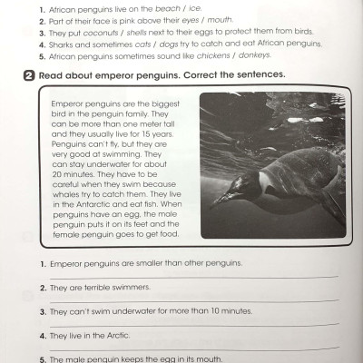 Look 4: Workbook With Online Practice