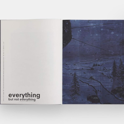 Artbook - Sách Tiếng Anh - Michael Raedecker