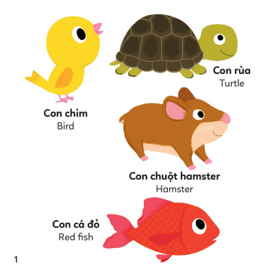 Xoay Xoay Xoay Đi Tìm - Động Vật - Bìa Cứng