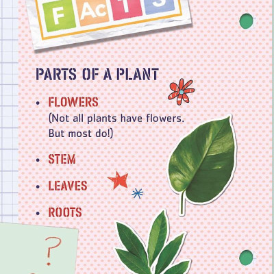 Ada Twist, Scientist: The Why Files #2: All About Plants!