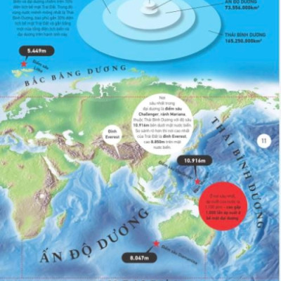Sách - Atlas vạn vật (Atlas of Everything) (Nhã Nam HCM)