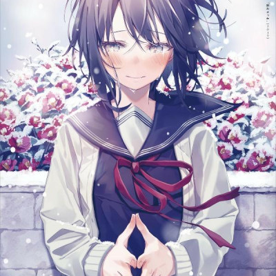 Sách ngoại văn: Oshioshio Art Book: Ao No Hibi (Japanese Edition)