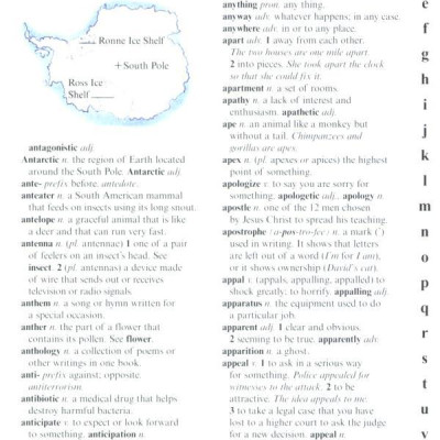 US Kingfisher Illustrated Pocket Dictionary