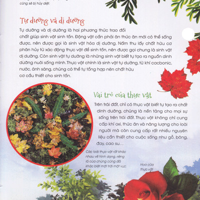 Thiên Nhiên- Những Bí Mật Còn Ẩn Giấu - Gia Đình Thực Vật - 2HBooks