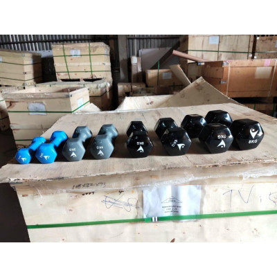 Bộ Tạ Loại 1kg bọc cao su (Tổng 2kg)