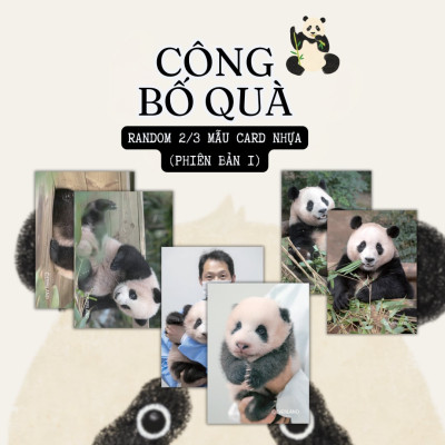 Fubao Toàn Trí