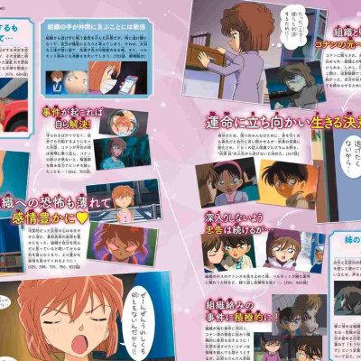 Detective Conan: Secret Archives Ai Haibara (Japanese Edition)