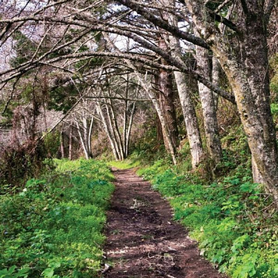 Drawdown: The Most Comprehensive Plan Ever Proposed To Reverse Global Warming