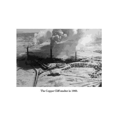 The Answer Is . . .: Reflections On My Life