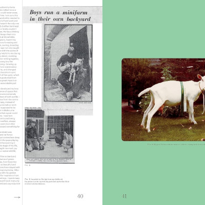 A Life In Garden Design Four Decades Of Aesthetic Influence