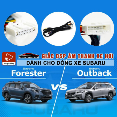 DÂY CẮM AMPLY/DSP, KẾT NỐI ĐẦU NGUYÊN BẢN CHO XE Ô TÔ SUBARU FORESTER VÀ OUTBACK, PLUG & PLAY.