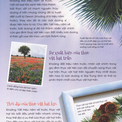 Thiên Nhiên- Những Bí Mật Còn Ẩn Giấu - Gia Đình Thực Vật - 2HBooks