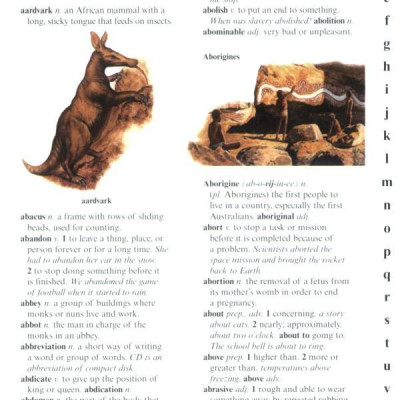 US Kingfisher Illustrated Pocket Dictionary