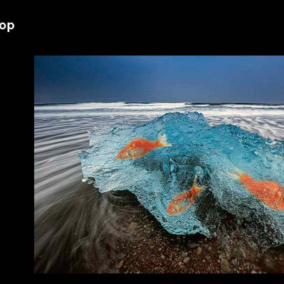 Bryan Peterson Photography