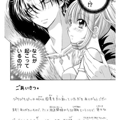 Mermaid Melody Pichi Pichi Pitch Aqua 4 (Japanese Edition)