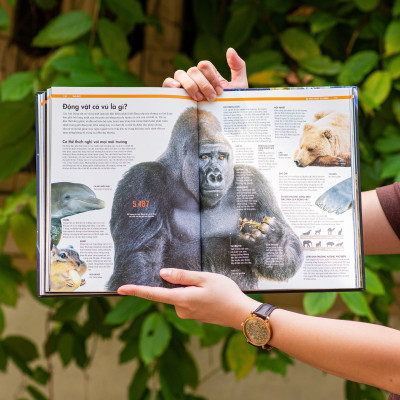 Sách Trái Đất - Sự Vận Hành Tự Nhiên - Vẻ Đẹp Của Trái Đất, Các Sự Biến Đổi Và Lịch Sử Hình Thành Của Trái Đất - Á Châu Books, Bìa Cứng, In Màu