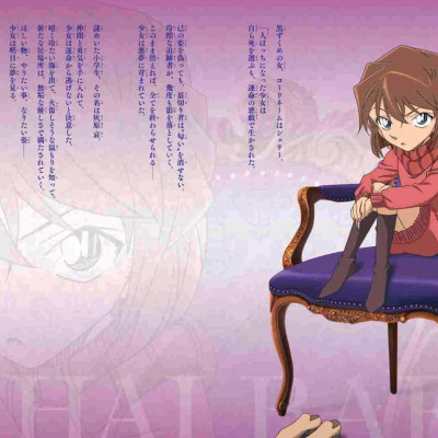Detective Conan: Secret Archives Ai Haibara (Japanese Edition)