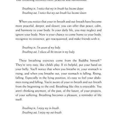 Happiness - Essential Mindfulness Practices