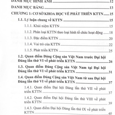 Sách Chuyên Khảo Kinh Tế Tư Nhân Tại Việt Nam Hiện Trạng và Định Hướng Phát Triển