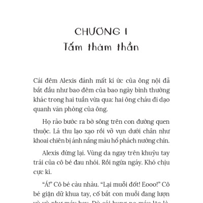 Xứ Sở Sương Mù: Cuộc Truy Tầm Keo Dán Kí Ức