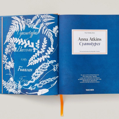 Artbook - Sách Tiếng Anh - Anna Atkins: Cyanotypes